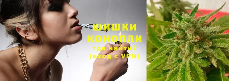 Канабис SATIVA & INDICA  закладка  Ногинск 